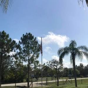 Meet your Posher, Sandy